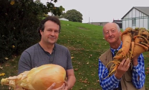 onion 